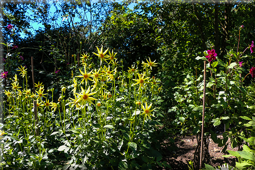 foto Giardini Trauttmansdorff - Paesaggi dell'Alto Adige